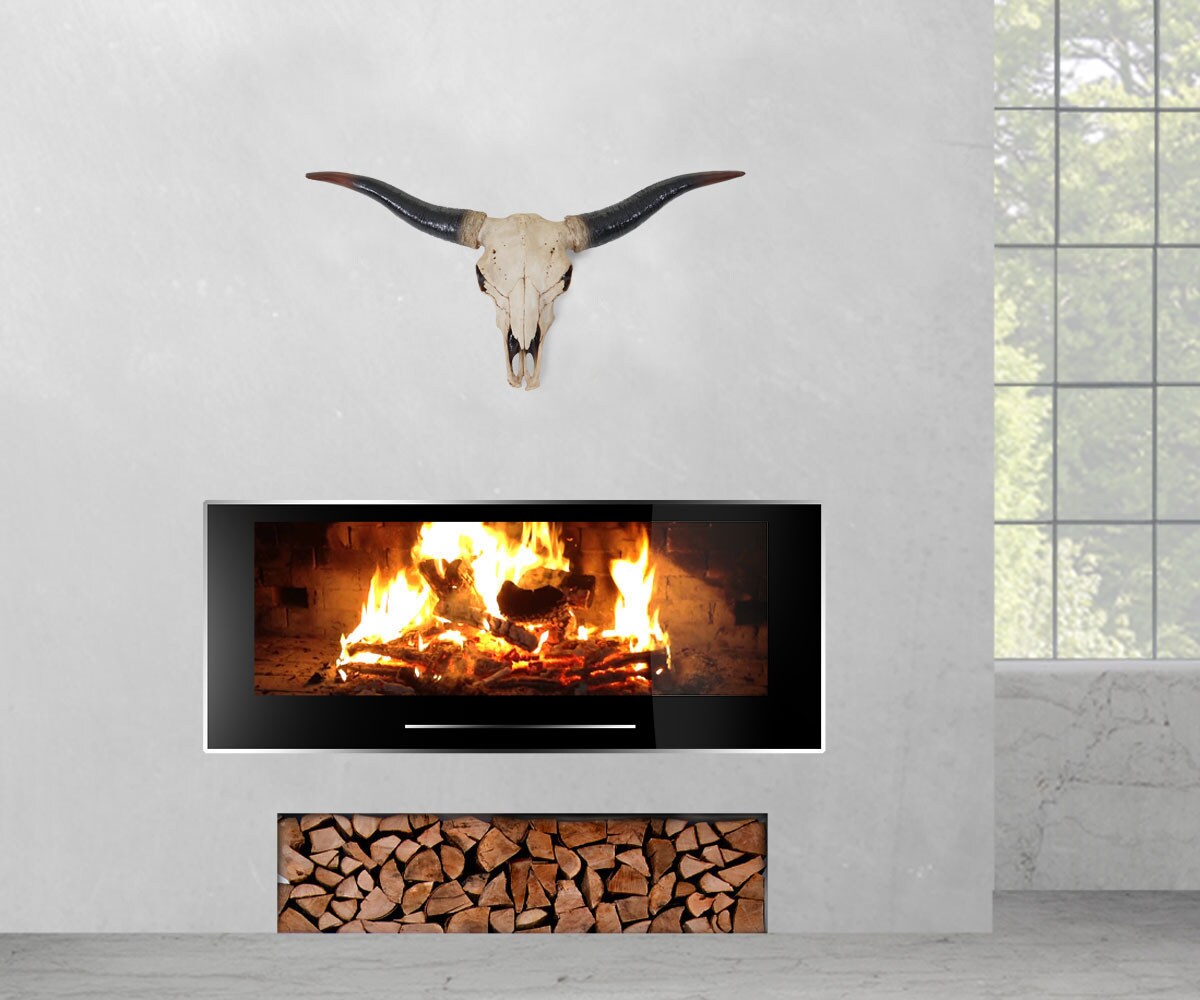 Deko Schädel 75cm MCW-A14, Polyresin Stier Bulle Longhorn Kopf Trophäe, In-/Outdoor natur