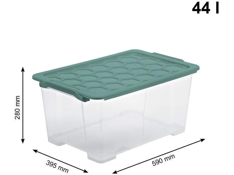 Rotho Aufbewahrungsbox Evo Safe 44 l, Grün/Transparent Box mit Deckel