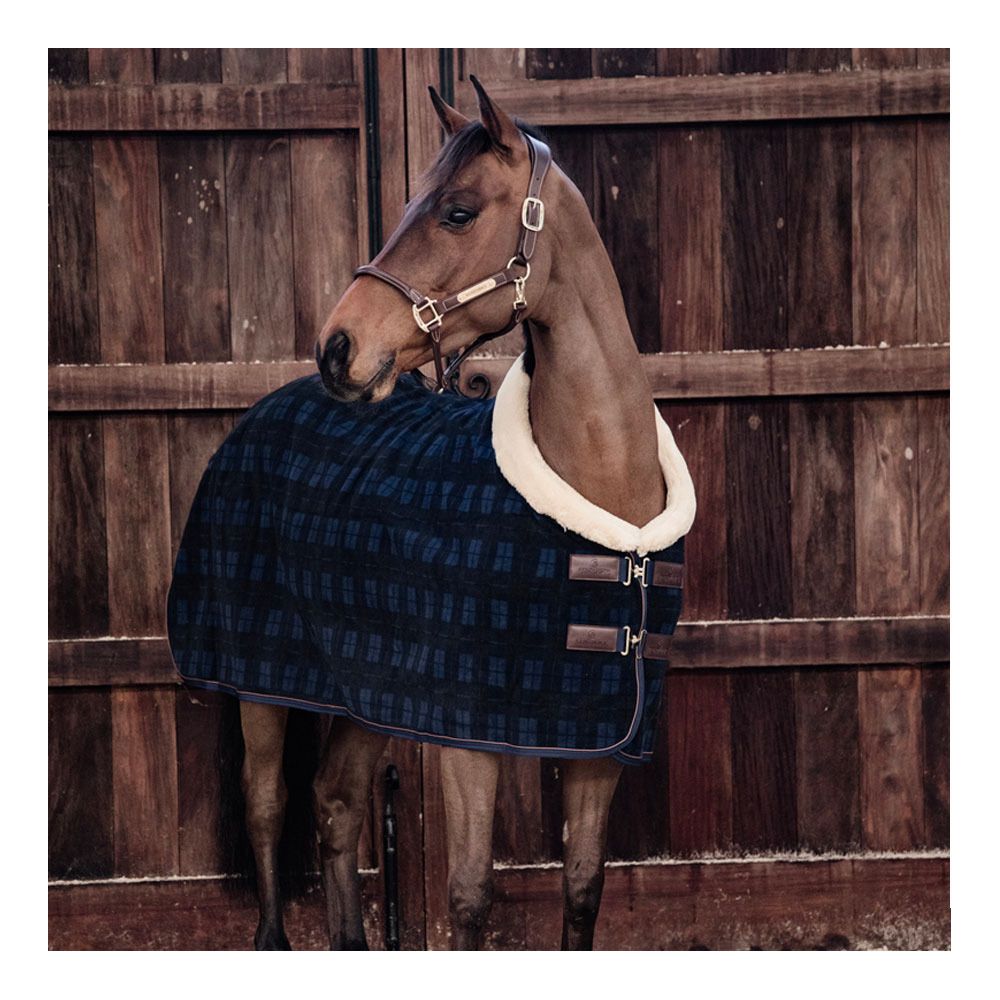 Kentucky SHOW HEAVY - Chemise séchante check printing