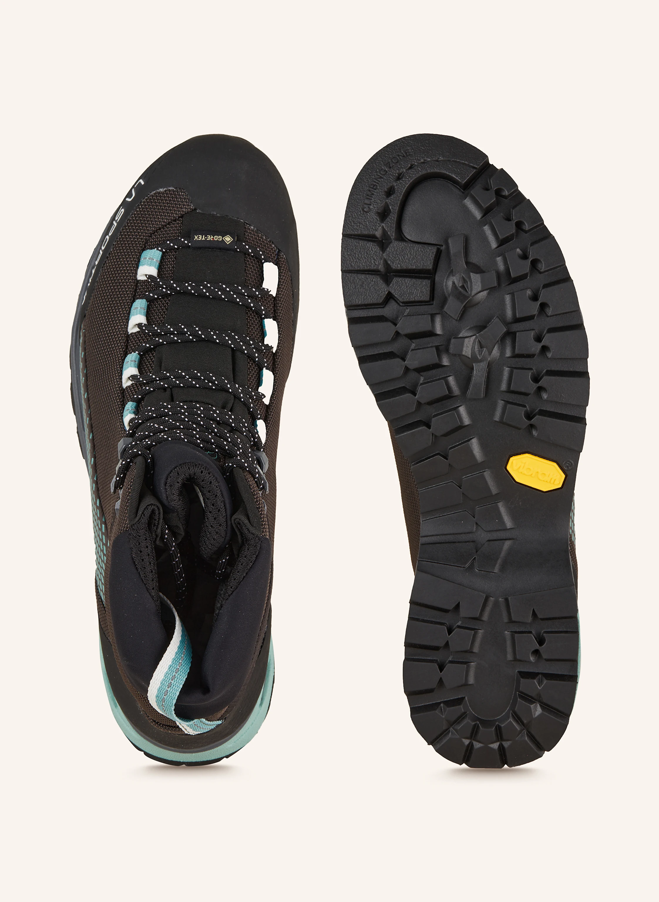 LA SPORTIVA Bergschuhe TRANGO TRK GTX