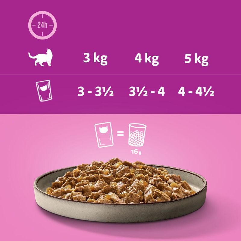 Whiskas 1+ Marmiton 48 x 85 g