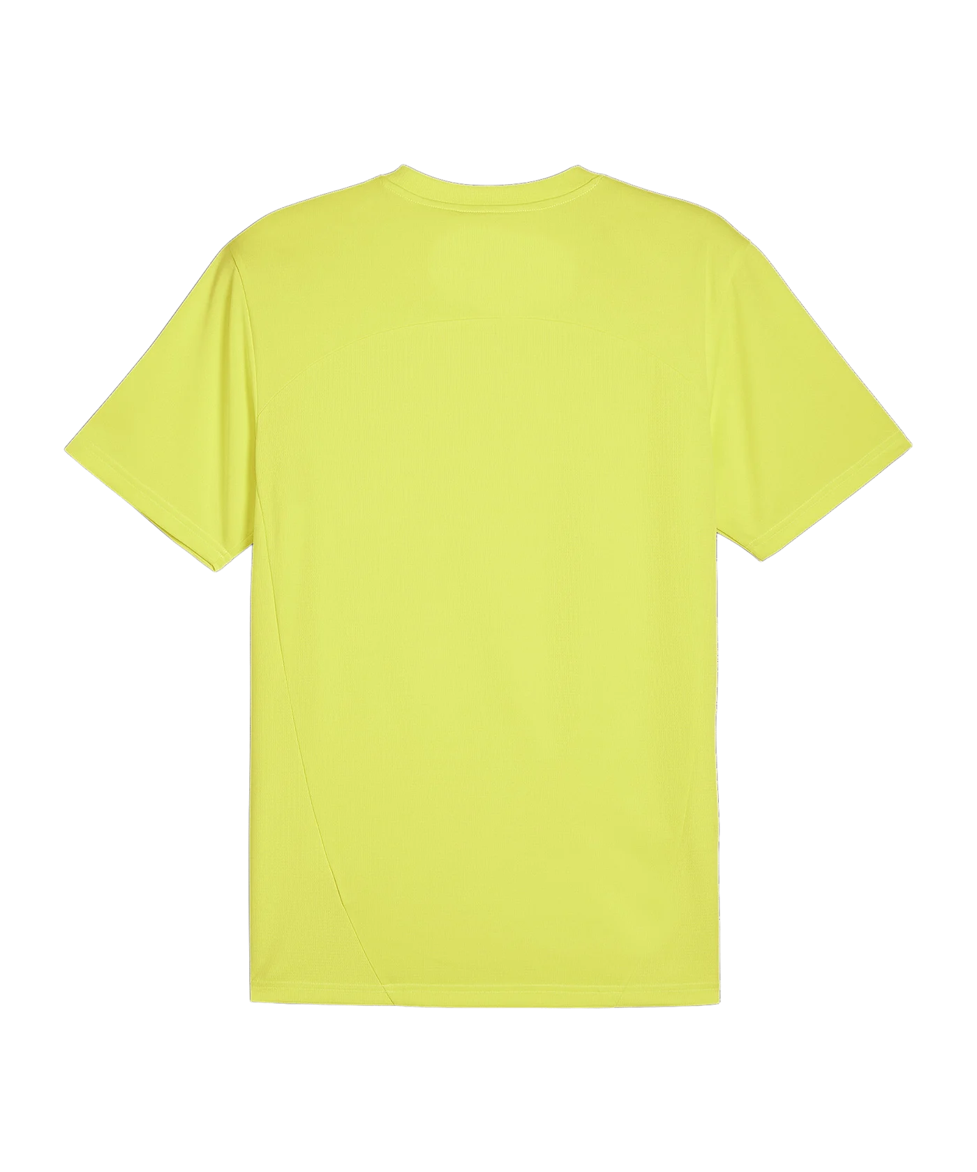 PUMA teamFINAL Trikot Türkis F30