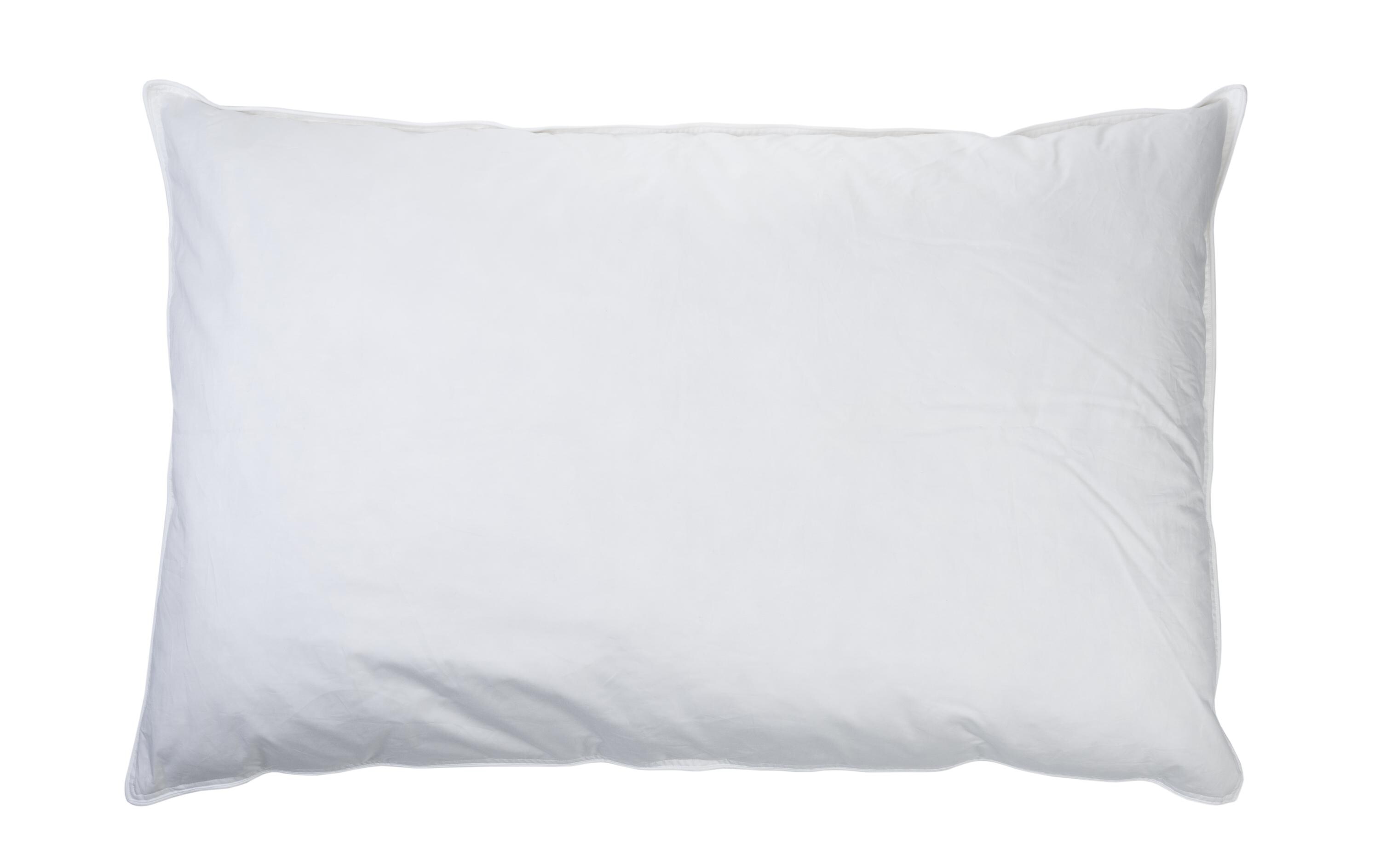 Kopfkissen 65 x 100 cmKopfkissen