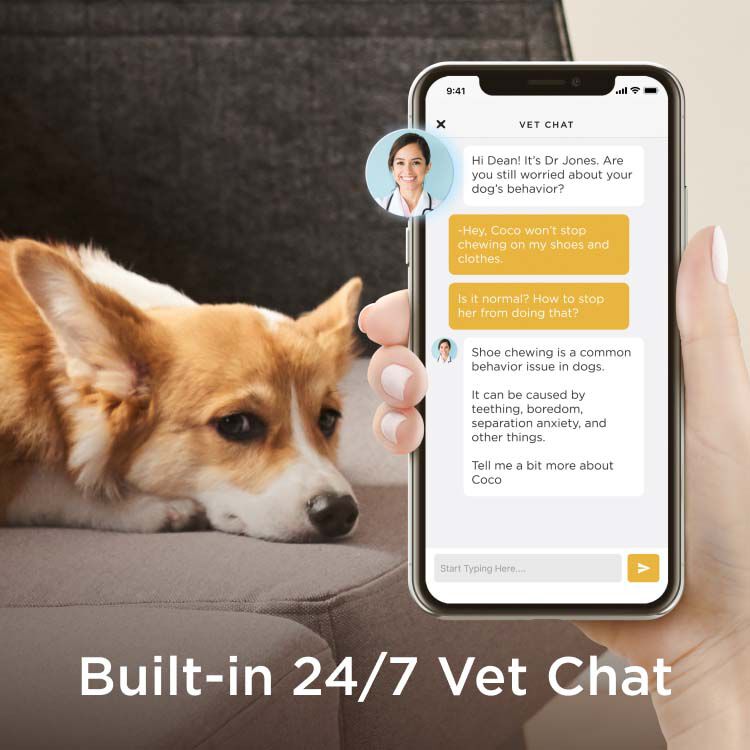 Petcube Bites 2 Lite - Pet Camera - Met Nachtvisie - Met Snack Functie
