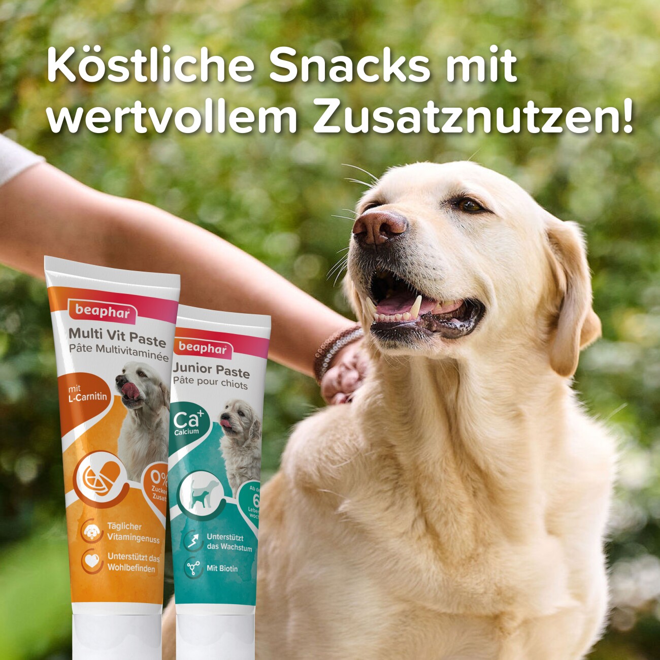 Beaphar Multi Vitamin Paste Hund, 250g