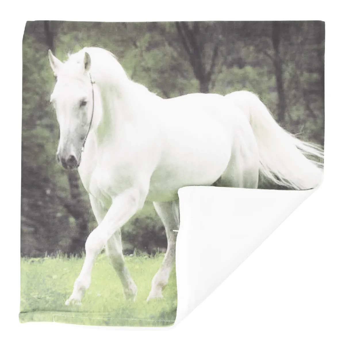 AVIZAR Lot de 2 Housses de Coussin - 40 x 40 cm, Motif Cheval