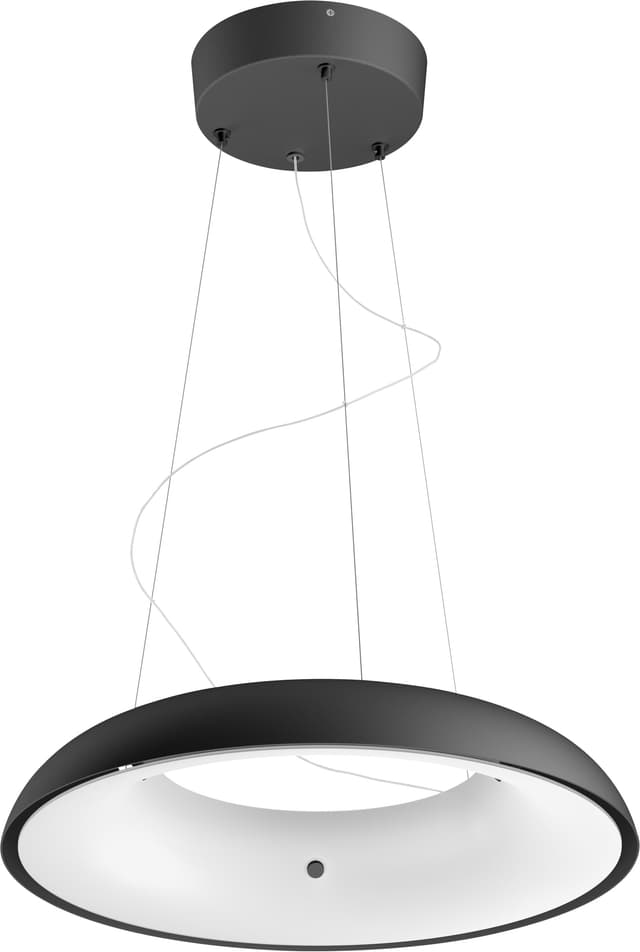 Philips Hue Amaze hængelampe (sort)