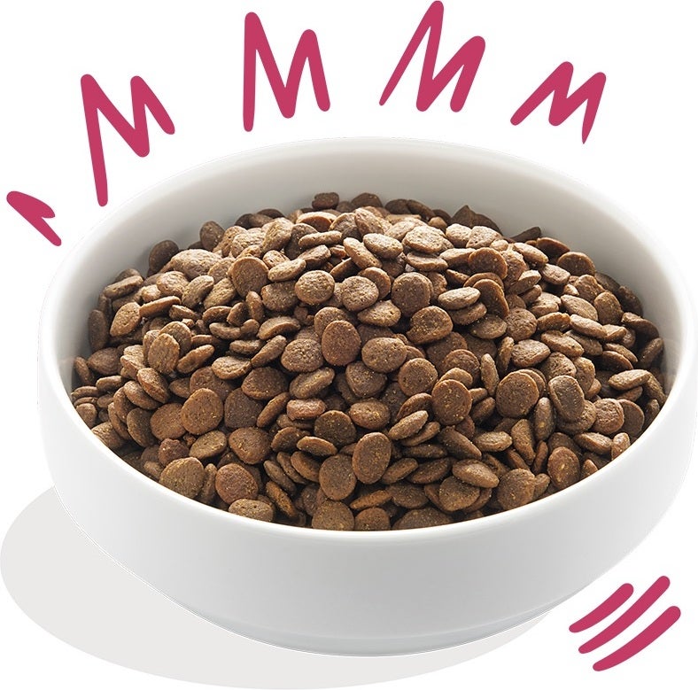 Edgard & Cooper hondenvoer hert en scharreleend adult 2,5 kg
