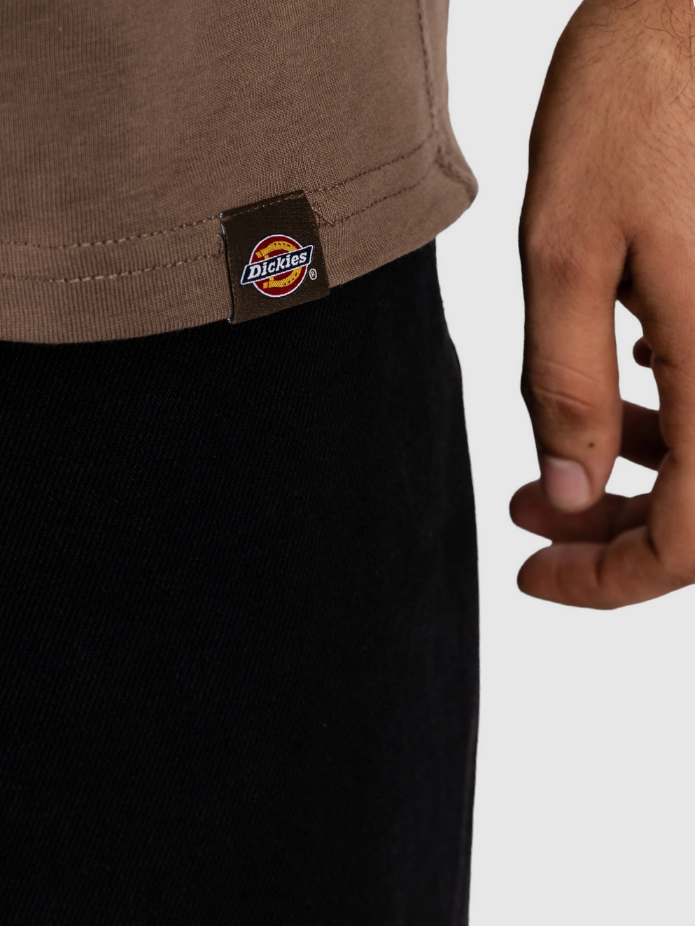 Dickies Builder T-Shirt mushroom
