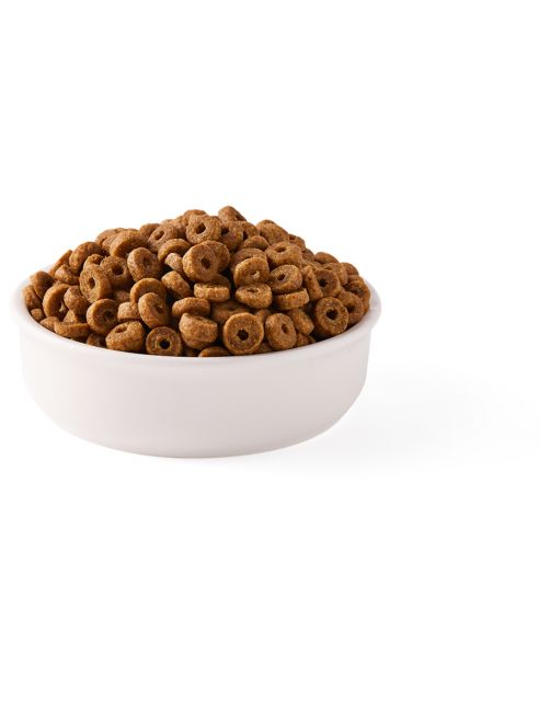 Yarrah Biologisch Adult Vis - Kattenvoer