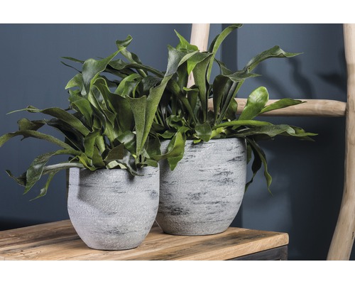 Tondela plantenpot ø 24 H 22 cm donkergrijs
