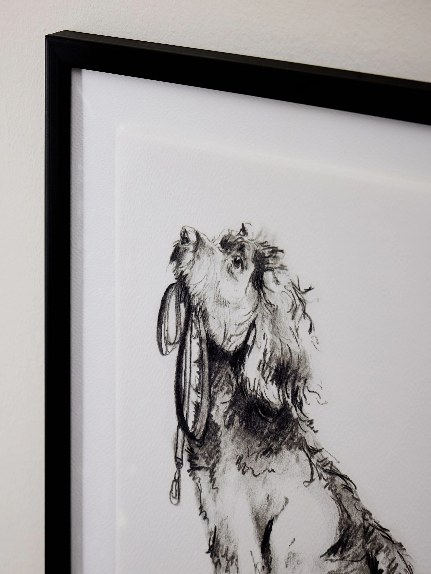 Sketched Cockapoo Walkies Wall Art