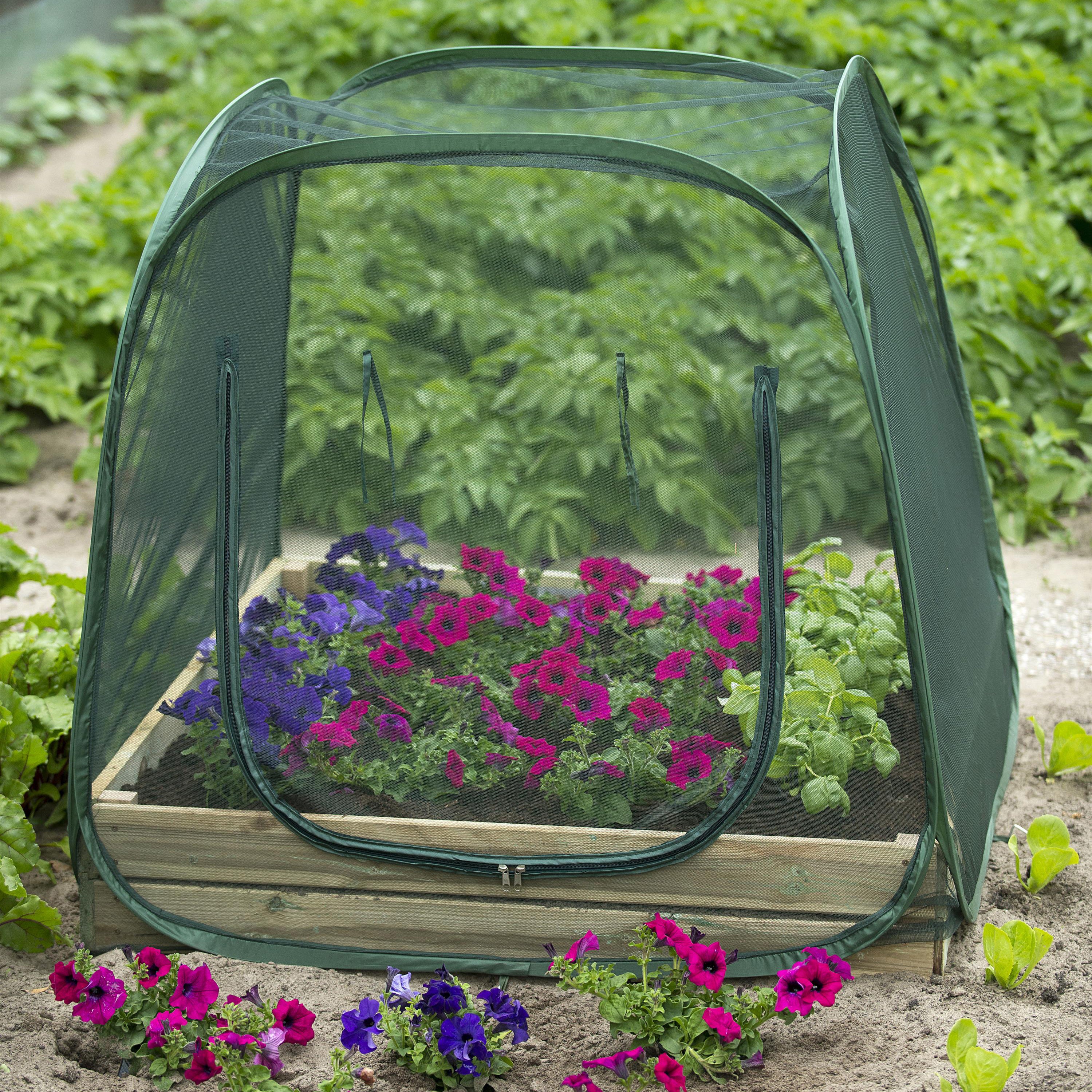 Nature Vierkante Meter Pop-up Kas