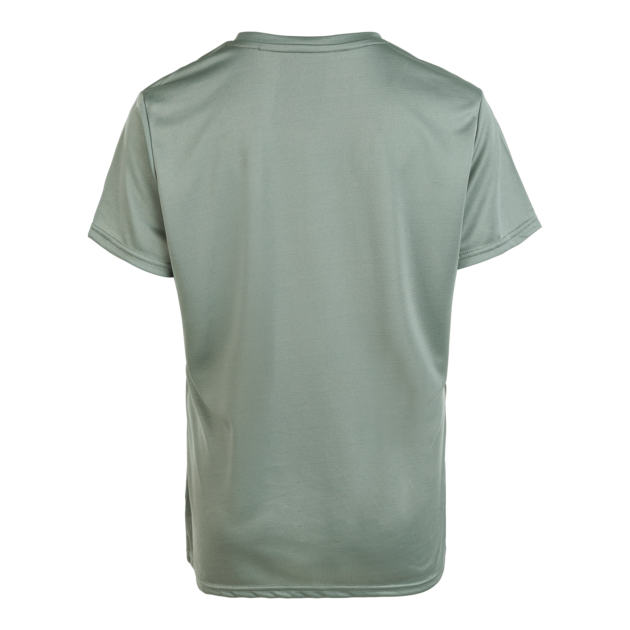 Endurance Vizuv W SS Performance Tee - Treningstøy