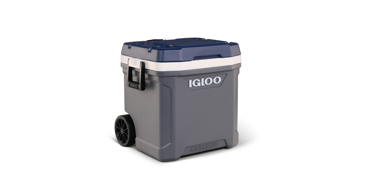 IglooMaxcold 62, 59 liter koelbox  (Grijs)