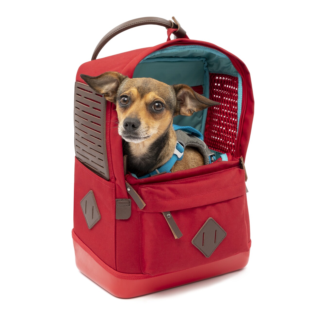 Kurgo Hunderucksack Nomad