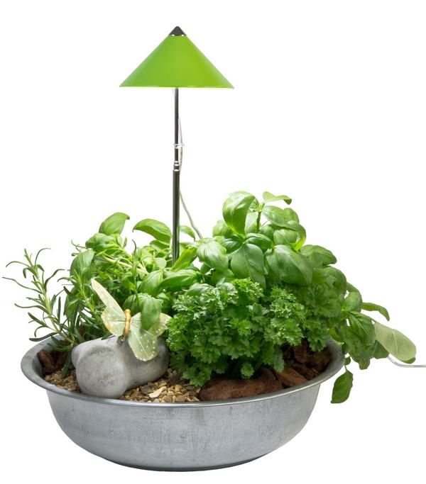 Venso LED-Pflanzenlampe