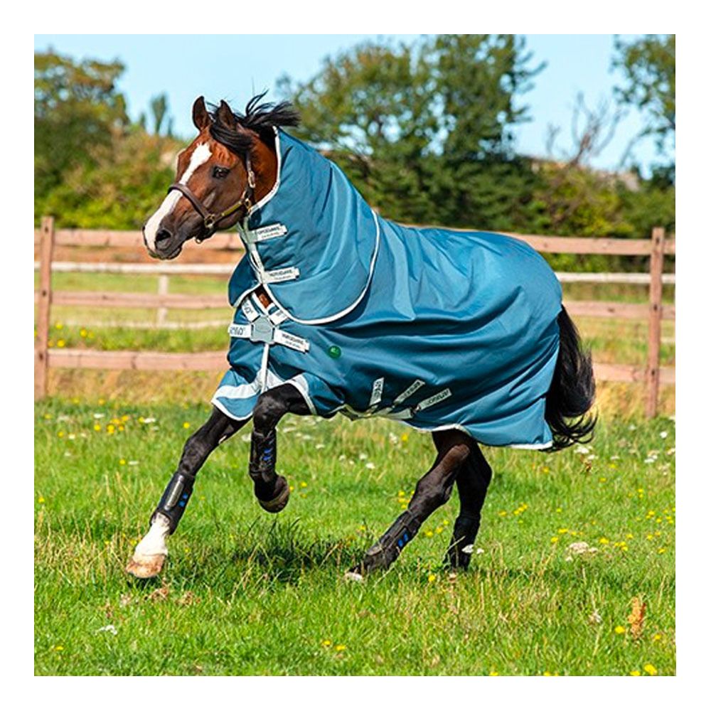 Horseware AMIGO AMECO 12 PLUS 0G - Couverture de paddock + couvre-cou teal/grey