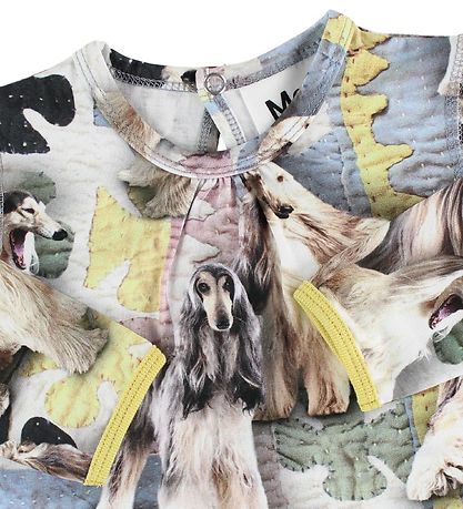 Molo Kleid - Caroline - Dogtastic