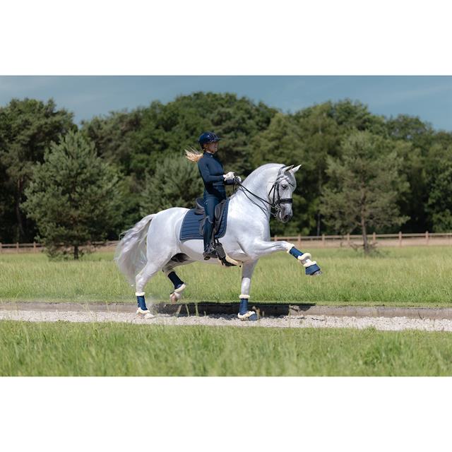 Springschoenen BRITT EQUESTRIAN AW25 Donkerblauw