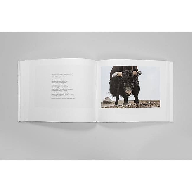 TIBET MINERAL ANIMAL