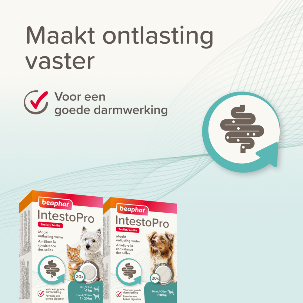 Beaphar IntestoPro Kat - Hond tot 20 kg20 tabletten