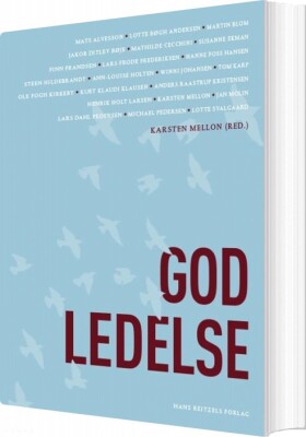 God Ledelse - Steen Hildebrandt - Bog