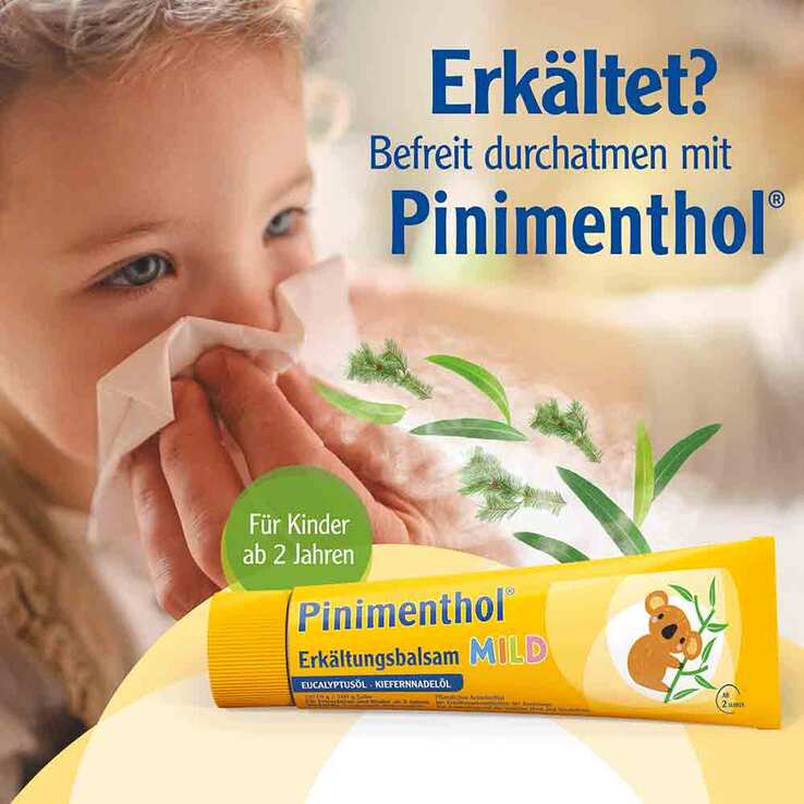 Pinimenthol® Erkältungsbalsam mild Eucalyptusöl Kiefernnadelöl, 20 g