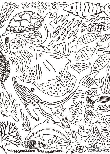 Magic Trace - Startpakke - Magisk Mystisk Land