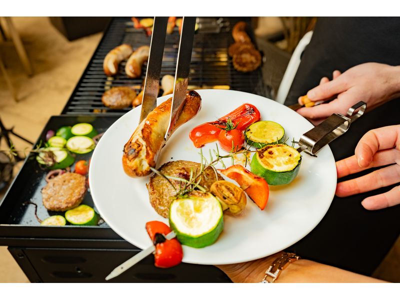 Blaser   Trösch Gastrogrill Companion Pro Der leistungsfähige und robuste Grill
