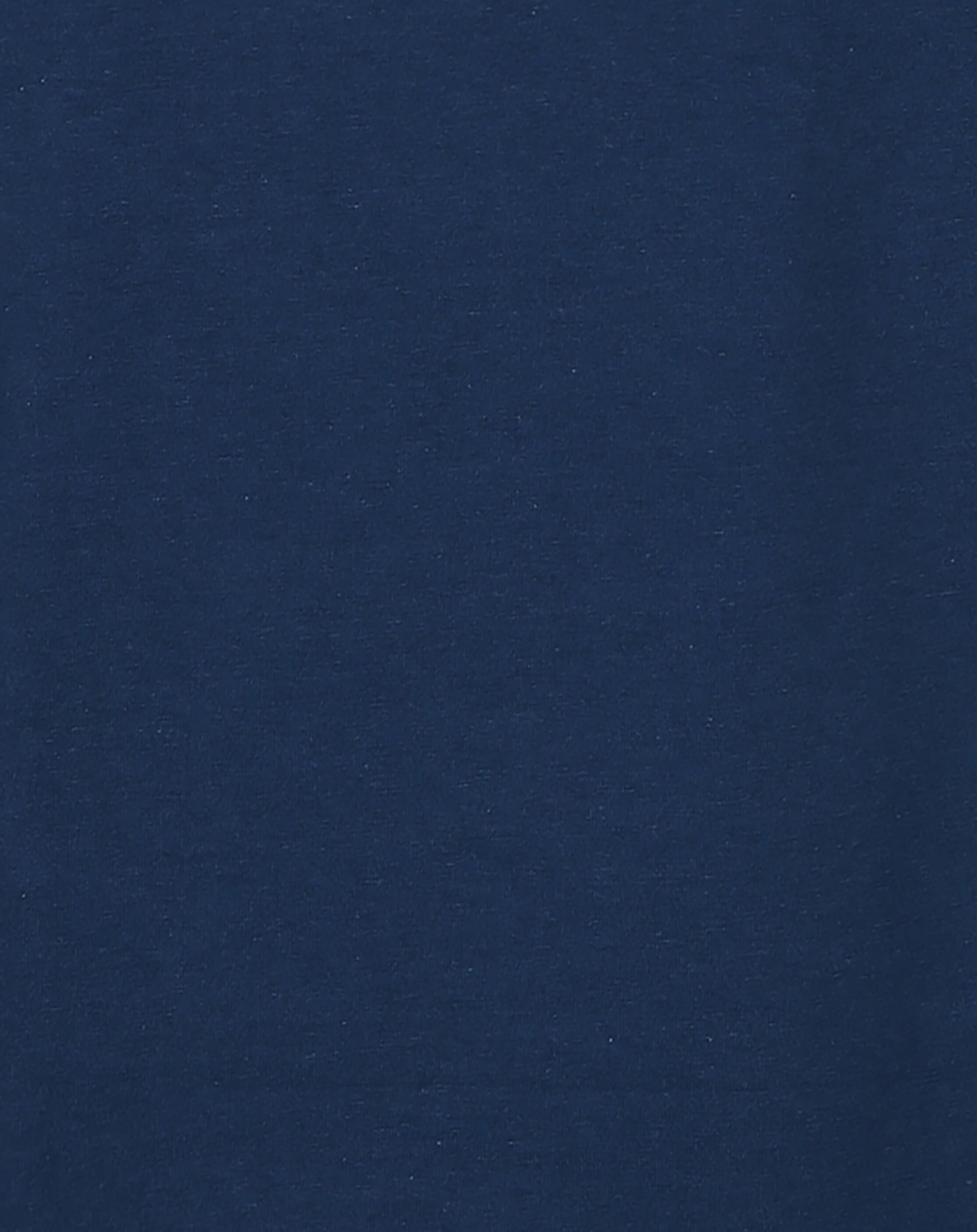 Rollkragen-Langarmshirt BASIC in dunkelblau