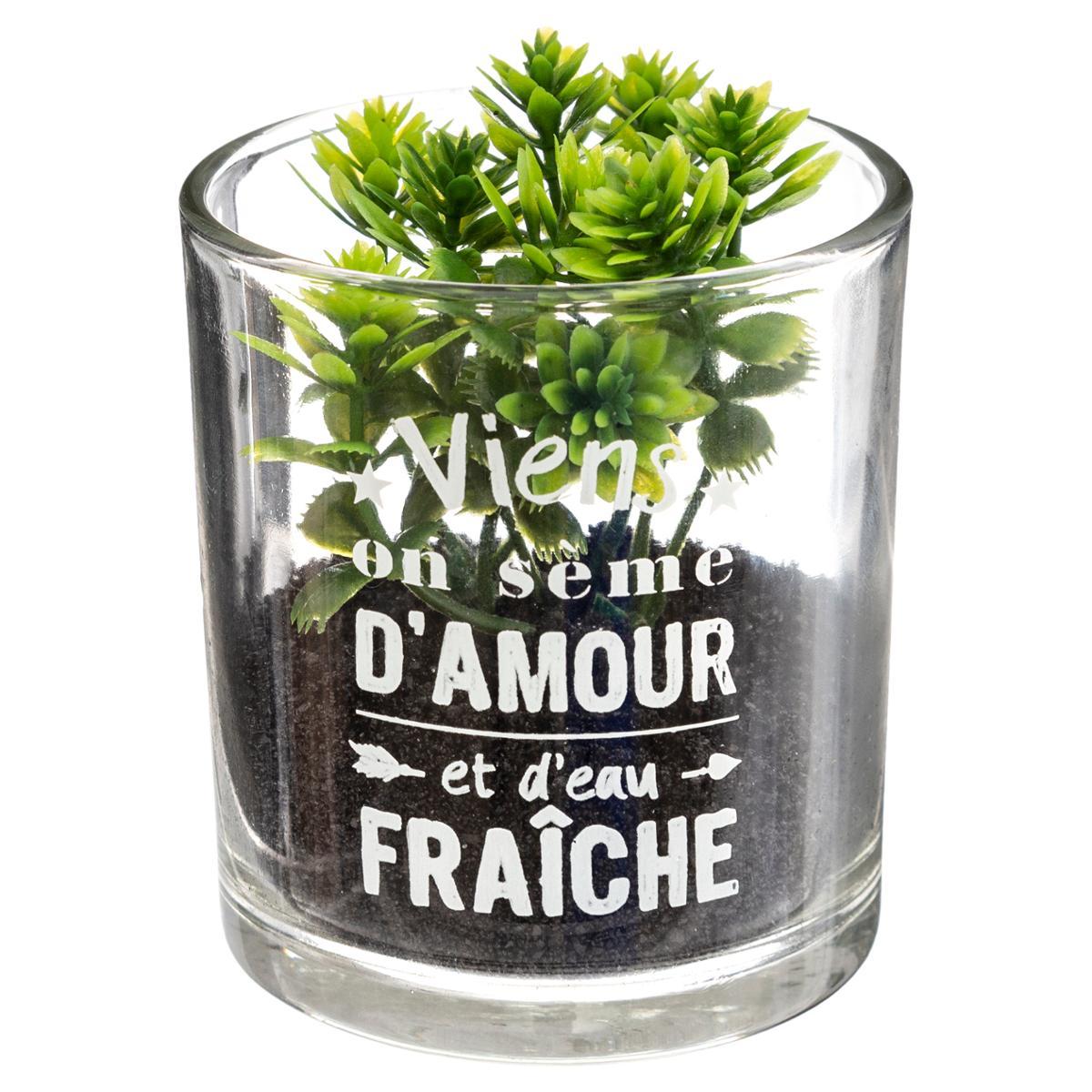 PLANTE POT MESSAGE D.7X8CM