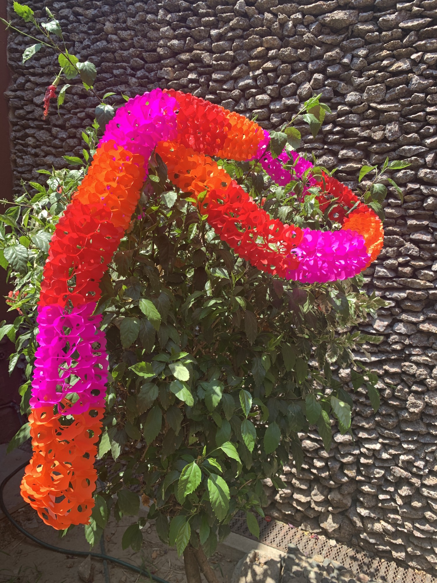 Papier-Girlande 'Schlange', pink, orange, rot, Ø 12 cm, L 250 cm günstig bestellen