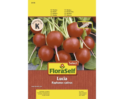 Radijsjes 'Lucia' FloraSelf Select F1 Hybride Groentezaden