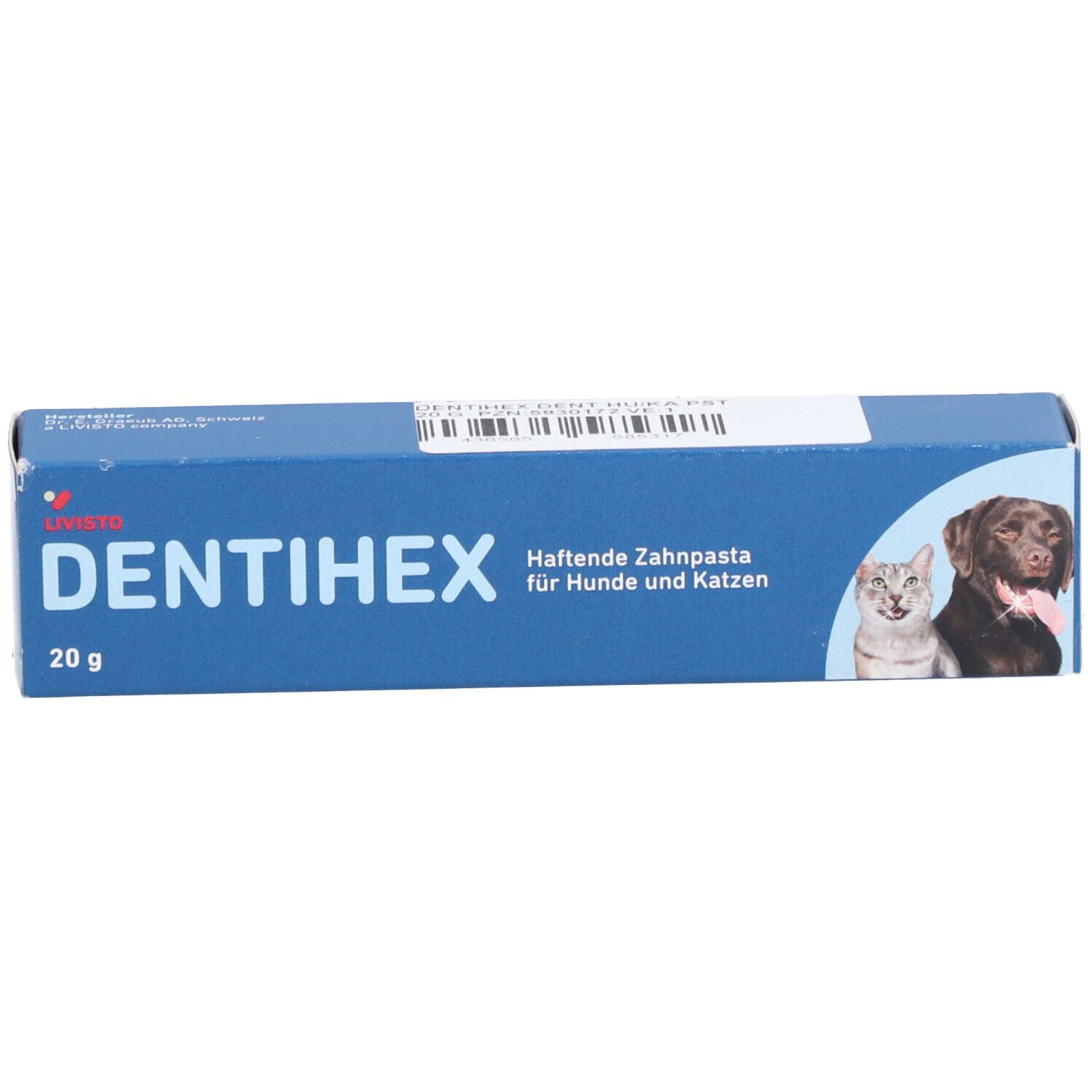 LIVISTO DENTIHEX