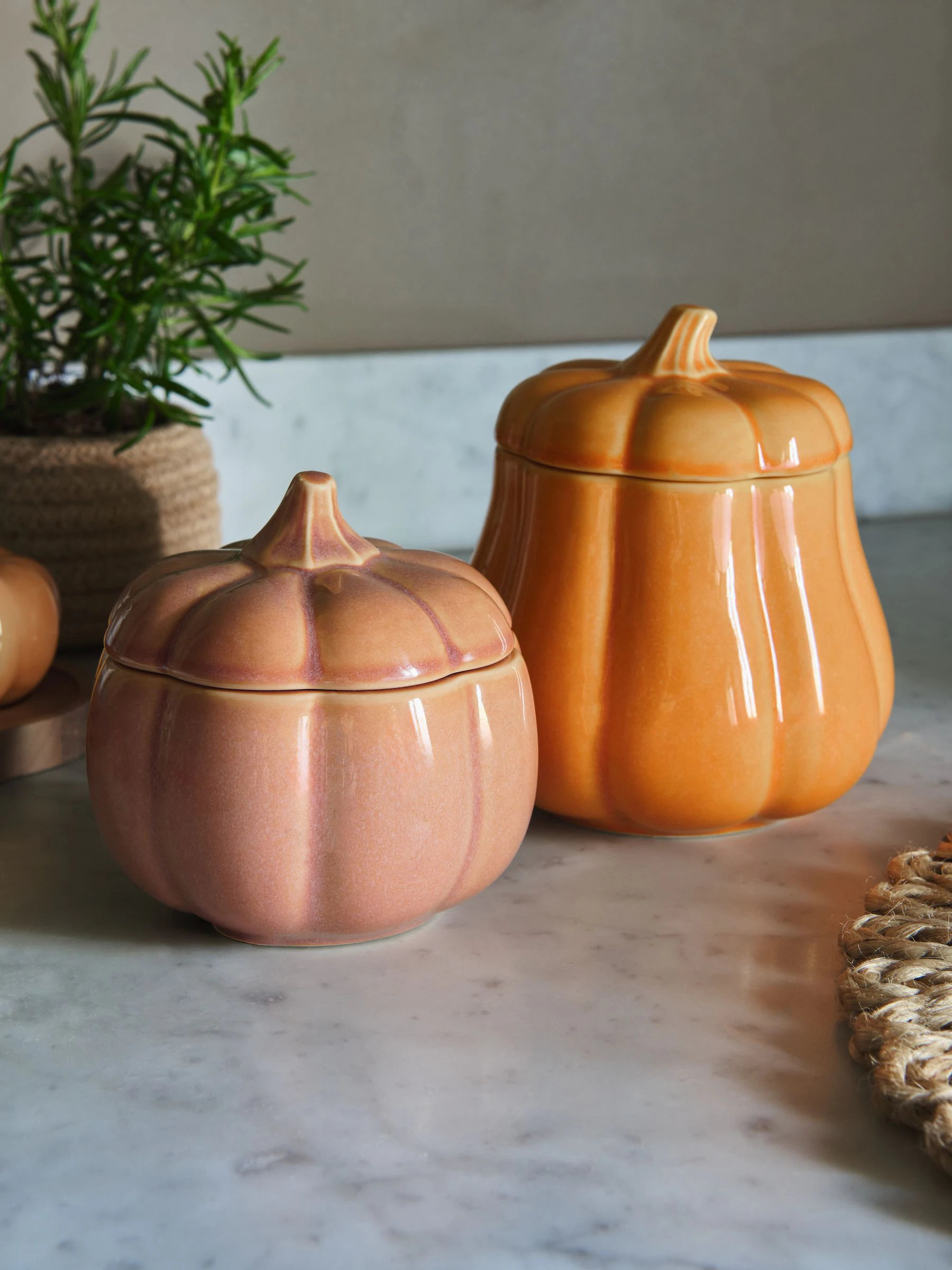 Set of 2 Pumpkin Storage Jars
