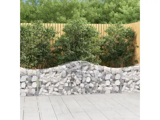 Paniers à gabions arqués 20 pcs 200x30x60-80 Fer galvanisé