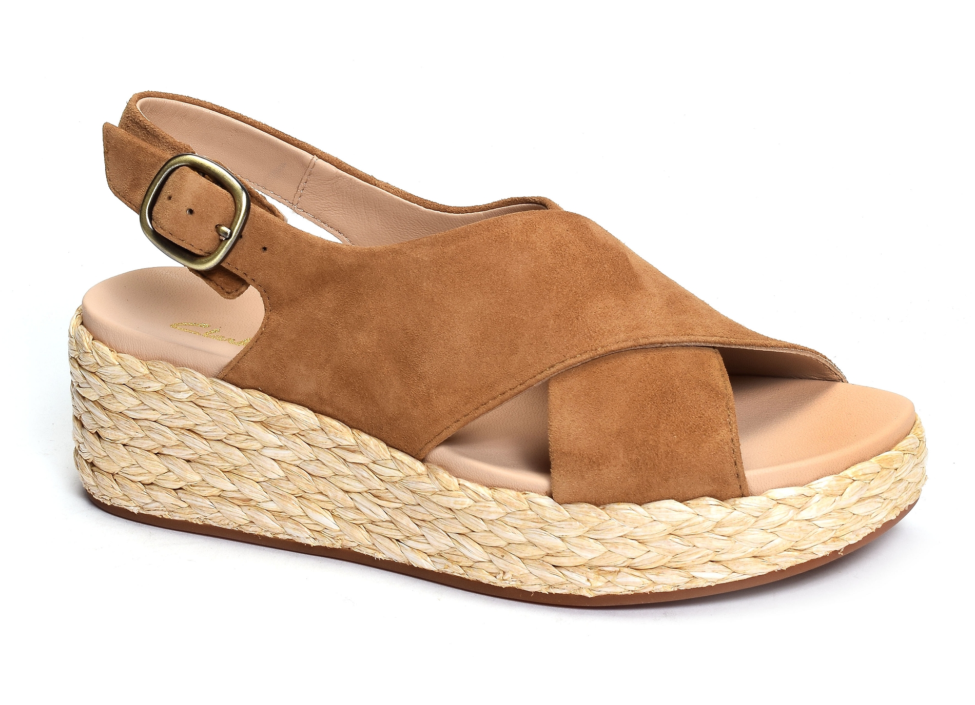 Kimmei cross camel