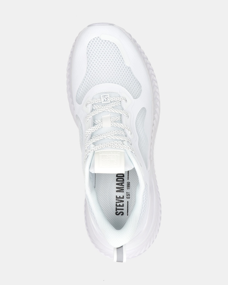 Steve Madden Slater Lage sneakers  - wit