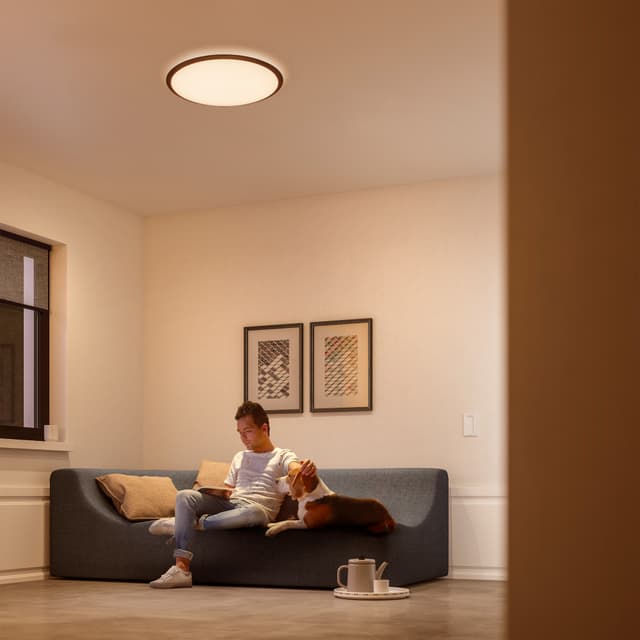 Philips Cavanal loftslampe 18W