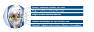 Vitakruid Atrimove Capsules 300CP