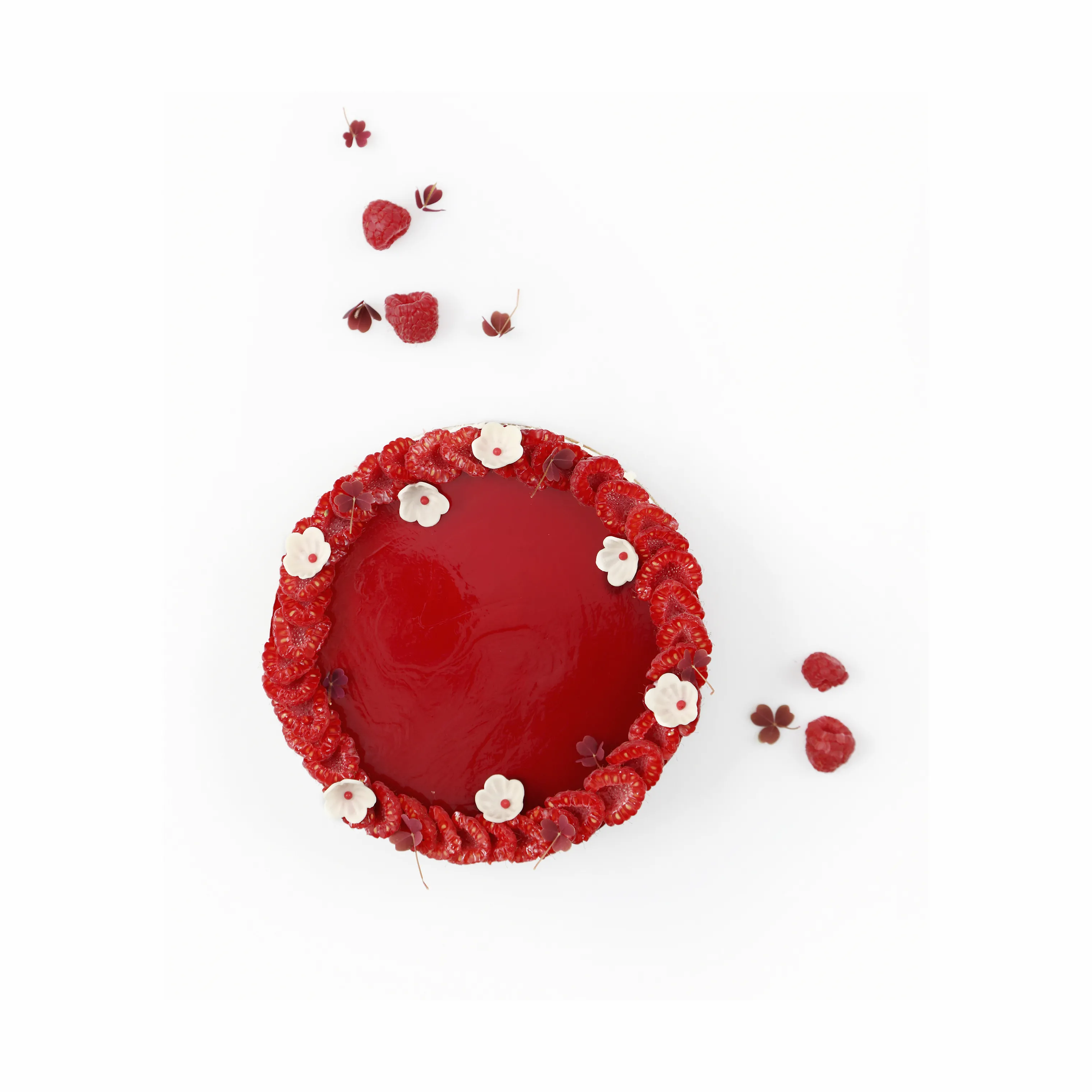 Cook & Baker Premium Springform