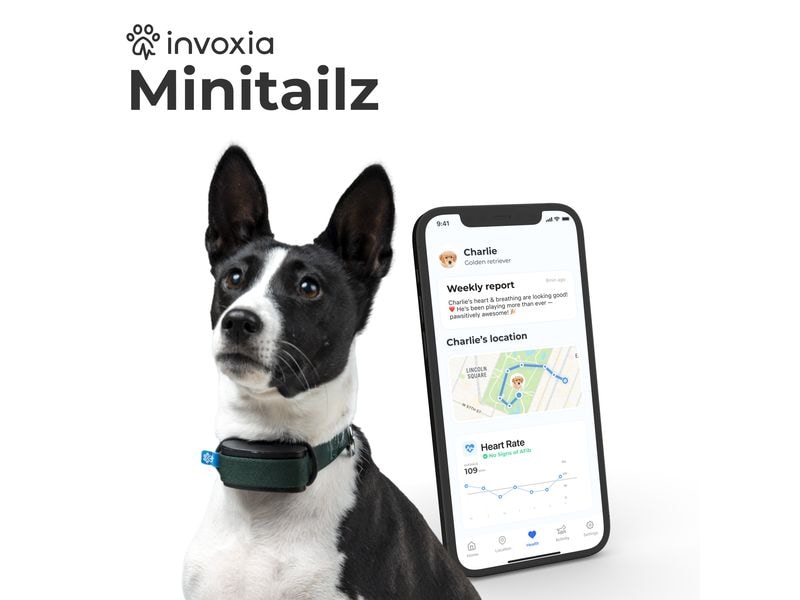 Invoxia GPS- und Gesundheitstracker Dog MiniTailz, schwarz Der fortschrittlichste GPS- und Gesundheitstracker für Hunde
