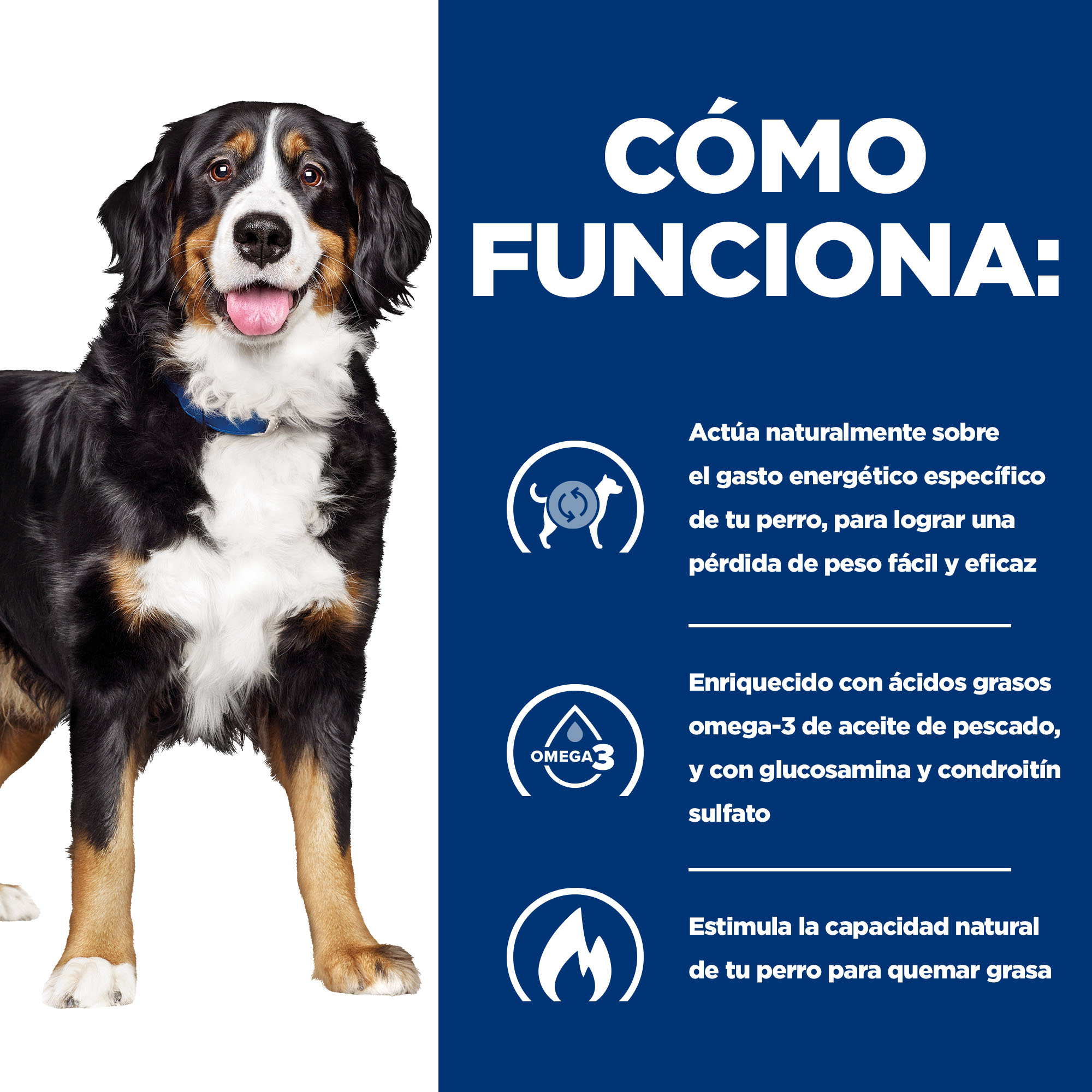 Hill's Prescription Diet Canine j/d Metabolic + Mobility lata para cães