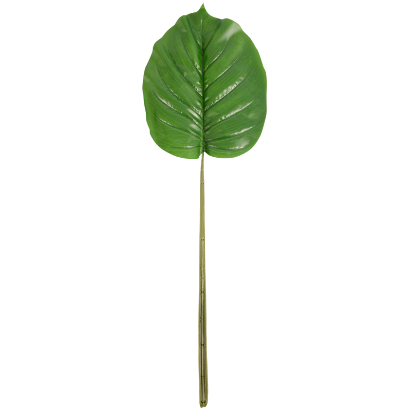 Branche 'Colocasia' artificielle