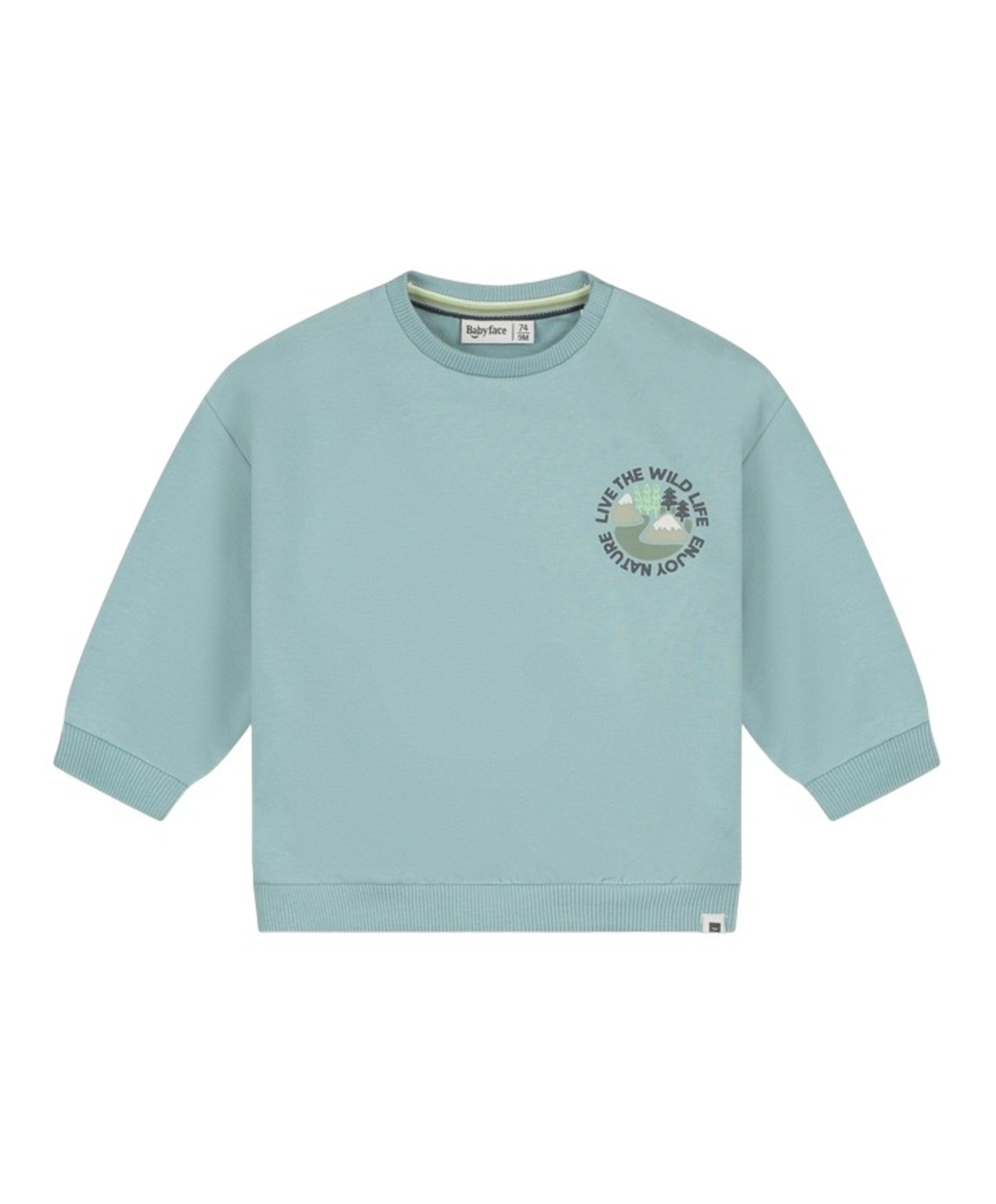 Babyface Jongens trui blauw