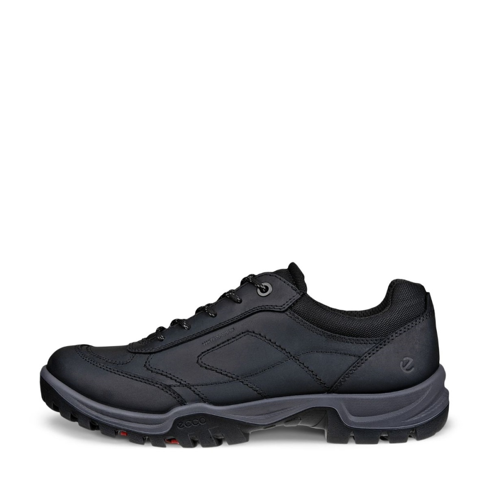 Ecco H XPEDITION III