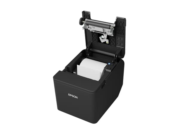 Epson TM T20IV (101A0) - Kvitteringsskriver - termolinje - Rull (7,95 cm) - 203 x 203 dpi - inntil 250 mm/sek - USB, seriell - kutter - delkuttskjære