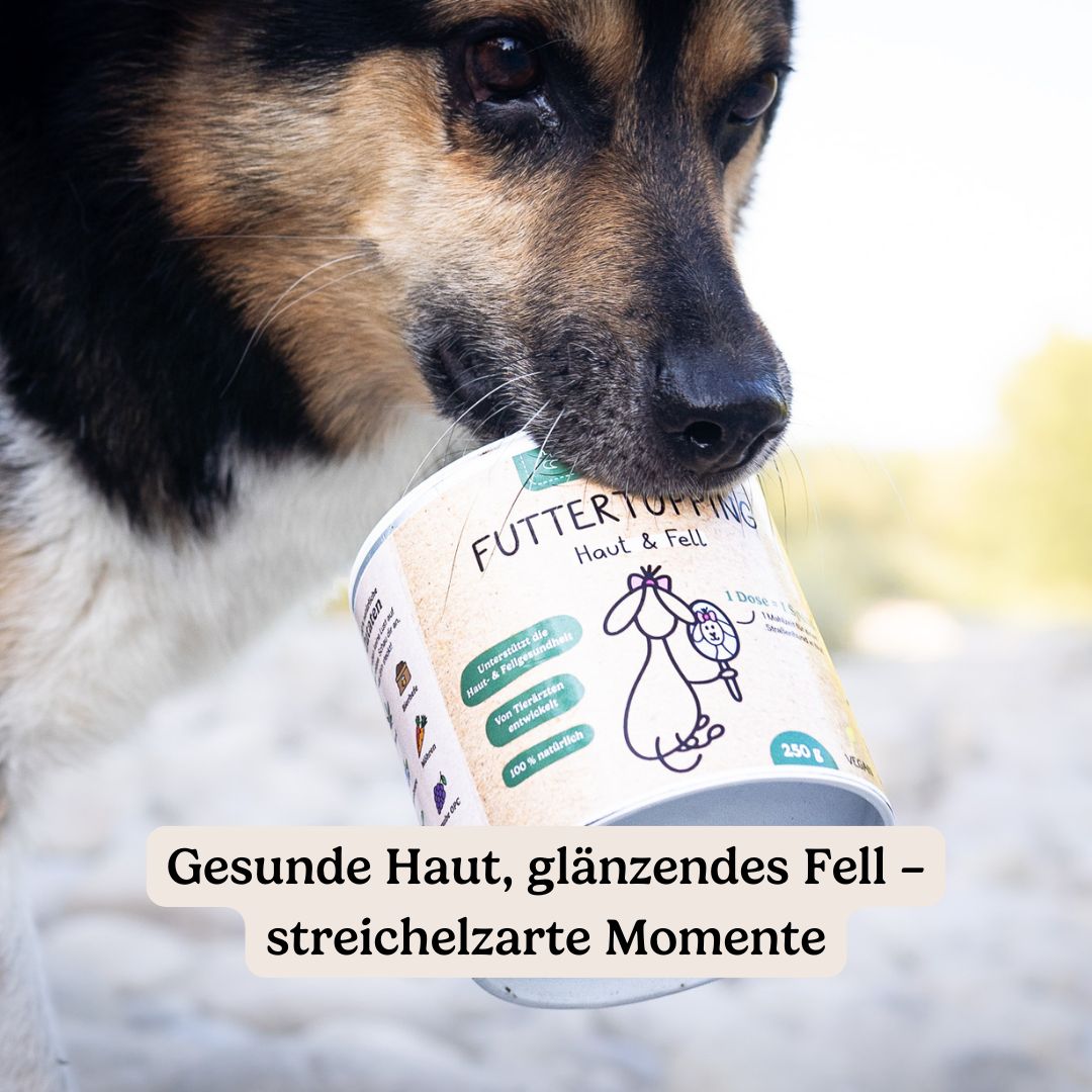 Hunderunde Futtertopping Haut & Fell