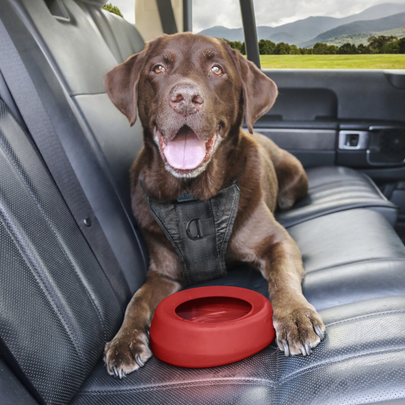 Kurgo Spritzfreier Wander-Wassernapf für Hunde rot